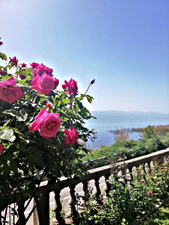 Villa Stefan Ohrid Exterior foto